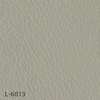 L-6013