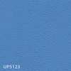 UP5123