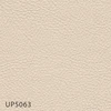 UP5063