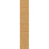 color chip