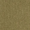 color chip