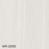 WR-2000