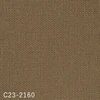 color chip
