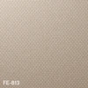 color chip