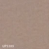 UP5389