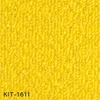 color chip