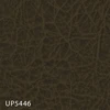 UP5446