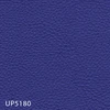 UP5180