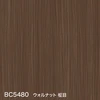color chip