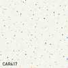 color chip