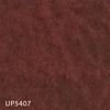 UP5407