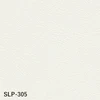 cs15-slp-305