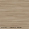 color chip