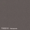 TX5310 Hanazome