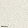 RE55342