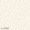 LL-6763
