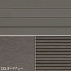 color chip