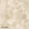 color chip