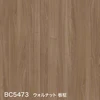 color chip