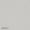 UP5017