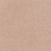 color chip