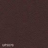 UP5070