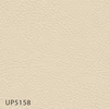 UP5158