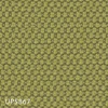 color chip