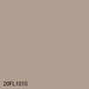 20FL1010