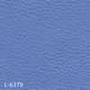 color chip