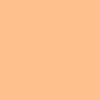 color chip