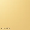 Y23-2909
