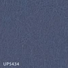 color chip