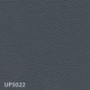 UP5022