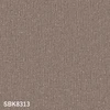 color chip