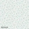 color chip