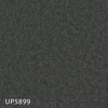 color chip