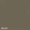 BR-601