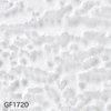 gf1720