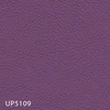UP5109
