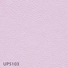 UP5103
