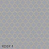 color chip