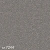 color chip