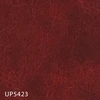 UP5423