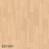 E21041