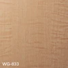 WG-833