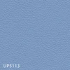 UP5113