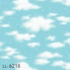 LL-6218