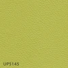 UP5145