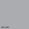 20FL1005